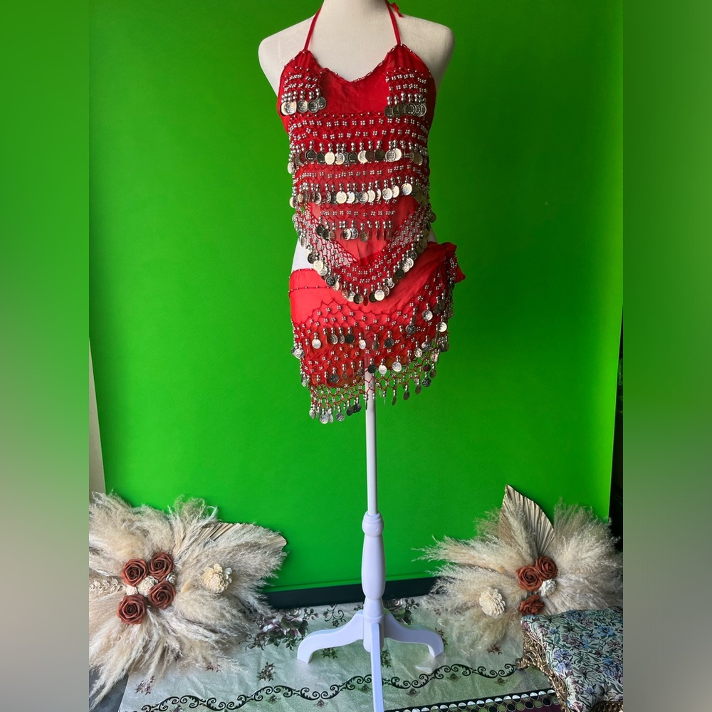 Sexy belly dancer Halloween costume